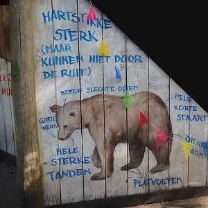 Brown bear education murals