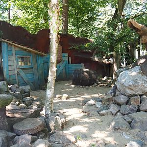 Asian small-clawed otter exhibit