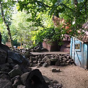 Asian small-clawed otter exhibit