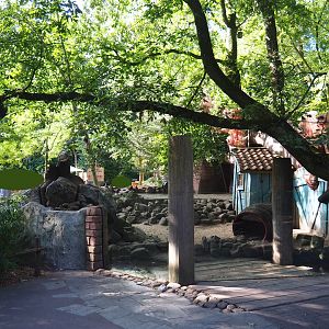 Asian small-clawed otter viewing area