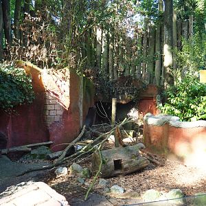 Coypu or nutria exhibit