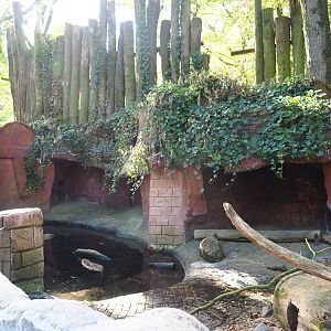 Coypu or nutria exhibit
