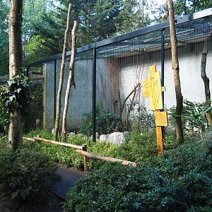 Eurasian eagle-owl aviary viewing area