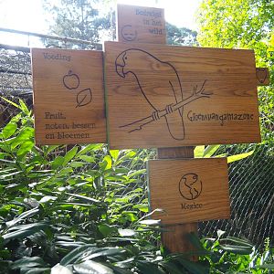 Sign green-cheeked amazon