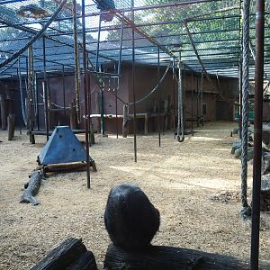 Chimpanzee cage