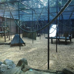 Chimpanzee cage