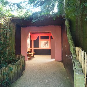 Chimpanzee viewing area