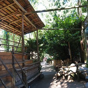 Chimpanzee viewing area