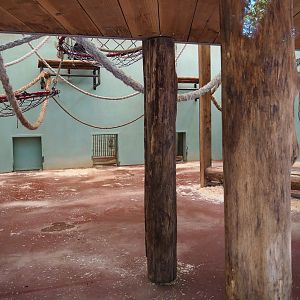 Chimpanzee indoor housing