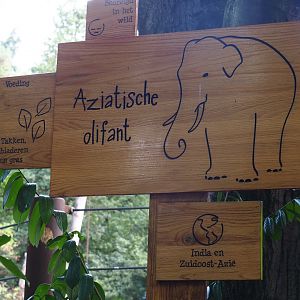Asian elephant signs
