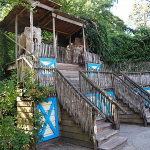 Asian elephant viewing stand
