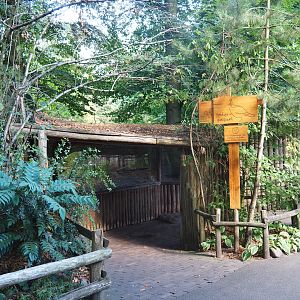 Himalayan monal pheasant viewing area