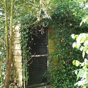 Himalayan monal holding shack