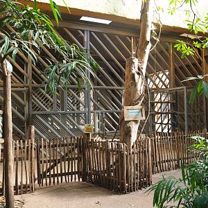 View of elephant care and separation boxes in the elephant house