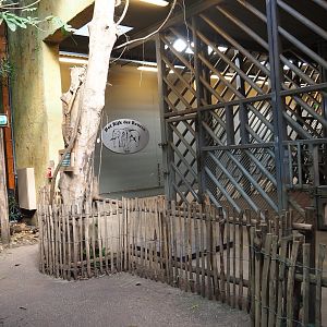 View of elephant care and separation boxes in the elephant house
