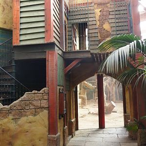 Visitor area in the elephant house