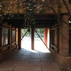 View into the outdoor elephant paddock