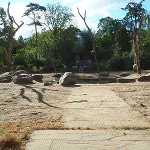 Asian elephant paddock seen from the elephant house