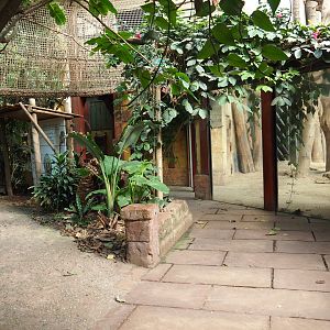 Elephant house visitor area