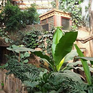 Elephant house viewing area