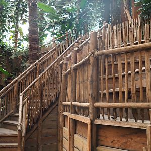 Elevated elephant viewing area