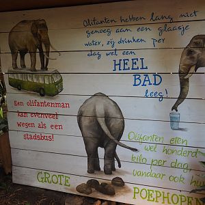 Funny elephant facts sign