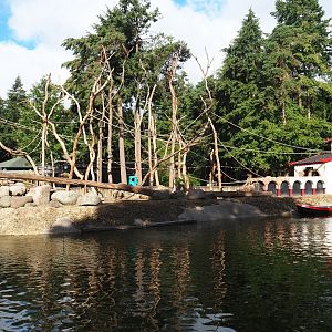 Japanese macaque island