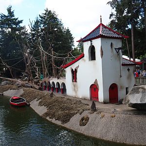 Japanese macaque island