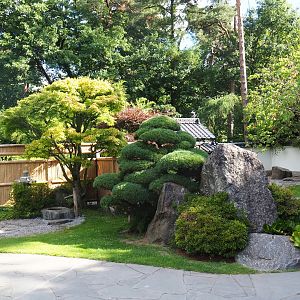 Japanese garden