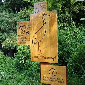 Red-crowned crane sign