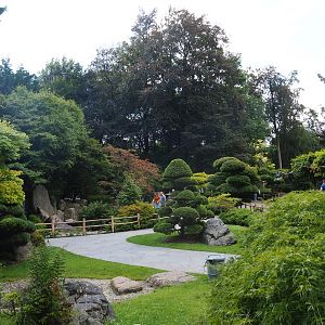 Japanese garden