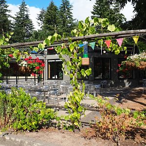 Restaurant building and terrace area