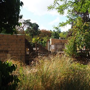 Ancient City structures