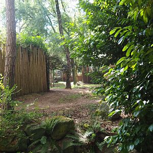 Part of the spotted hyena exhibit