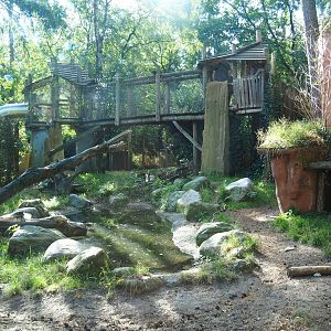 Part of the spotted hyena exhibit
