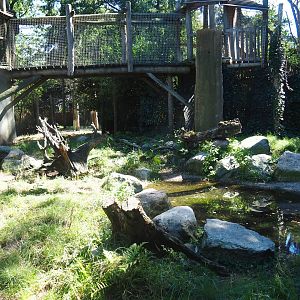 Part of the spotted hyena exhibit