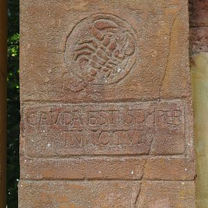 Latin wall inscription on scorpions