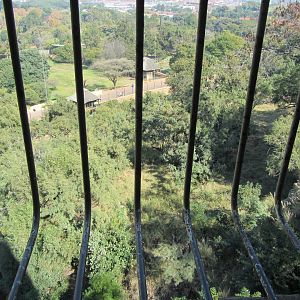 View of Southern Lion Exhibit from Above