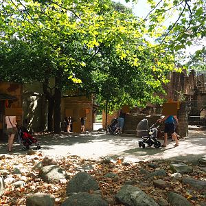 View into the Ancient City