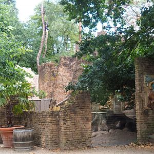 Indian crested porcupine exhibit