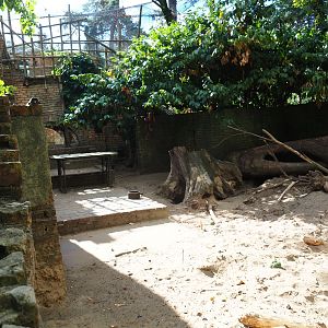 Indian crested porcupine exhibit