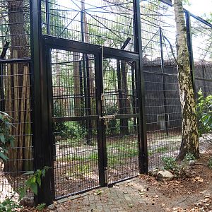 Lion house and separation cage