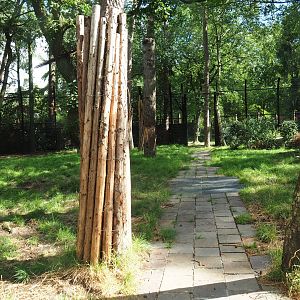 New lion exhibit as of 2017