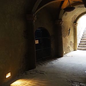 View into the dungeon underneath the lion exhibit