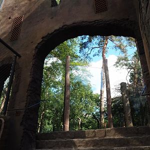 Dungeon exhibit and lion viewing area