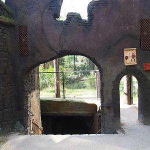 Dungeon exhibit and lion viewing area