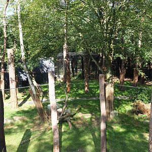 New lion exhibit as of 2017