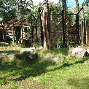 New lion exhibit as of 2017