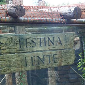 Festina lente - Make haste slowly signs
