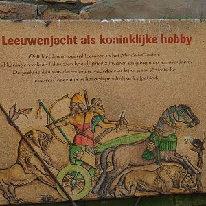 Lion hunting as a royal hobby sign